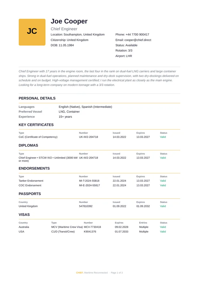 First page of a CHIEF. CV (demo data)