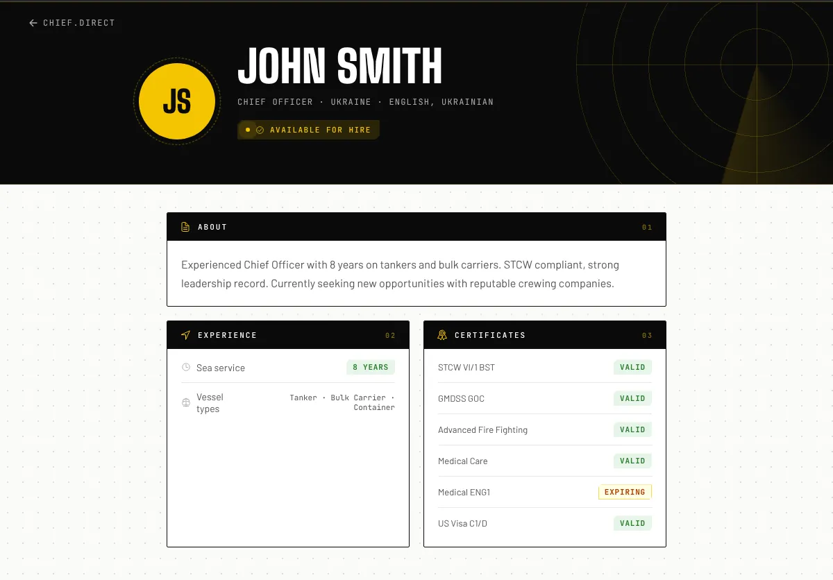 A seafarer’s public profile on chief.direct (demo profile)
